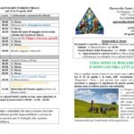 thumbnail of bollettino parrocchiale 29-04-2018 13-05-2018